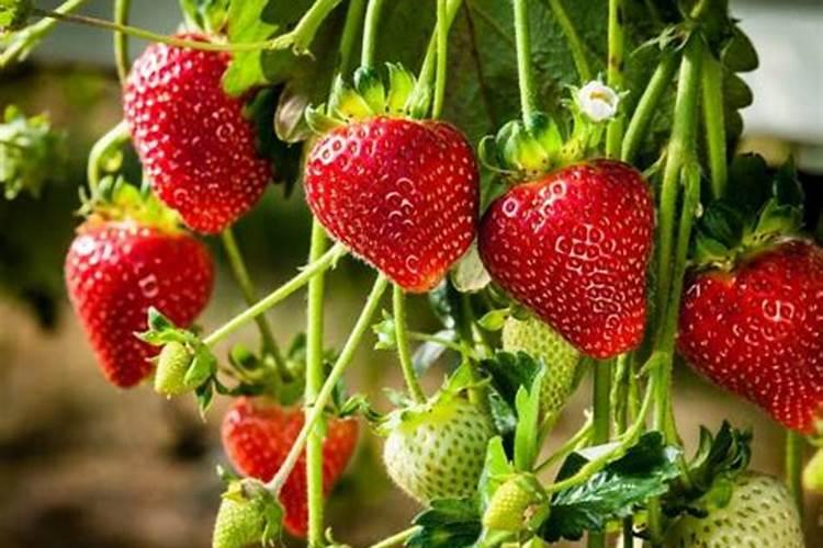 九种清塘方案,你都知道吗？建议收藏!