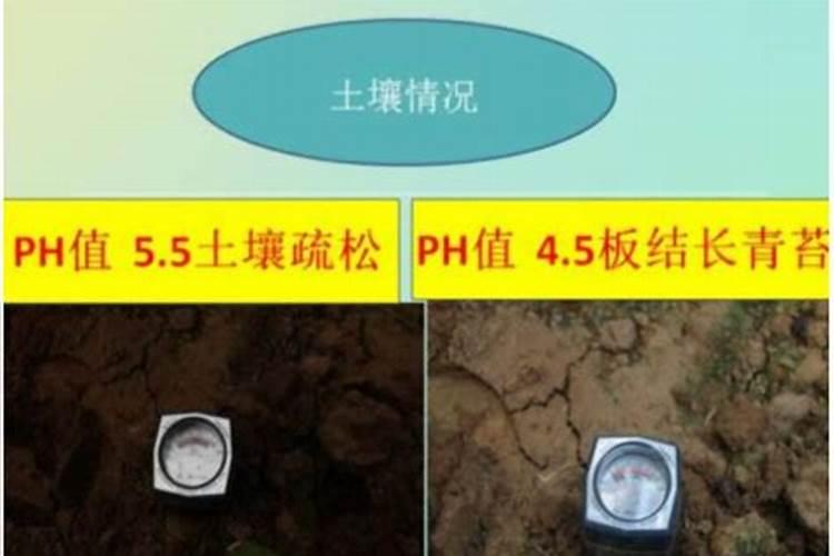 钙肥的正确使用