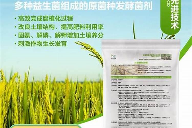 水稻用什么肥料好