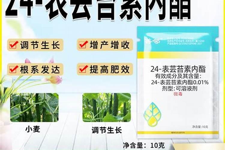 促进植物生根的肥料是哪些？促进植物长新叶子的肥料是哪些？