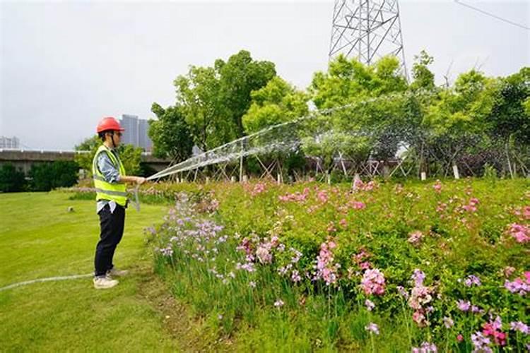 磷肥浇花一次用多少