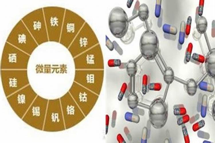 黄瓜如何正确施肥