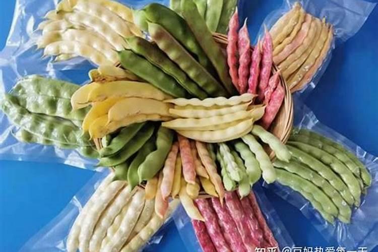 油豆角栽培技术