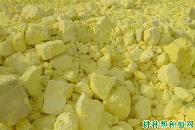 硫元素对植物的作用