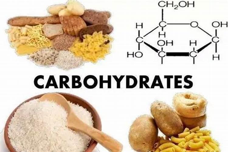 水稻优选 有机水溶肥料有哪些