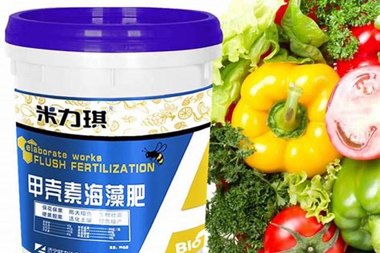 烟台嘉特海藻肥怎么样暖棚番茄冲施肥