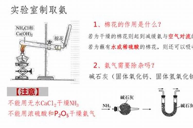 人尿做肥料,4类蔬菜浇了产量翻倍