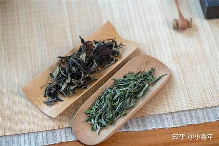 给白茶施肥应选哪种肥料？