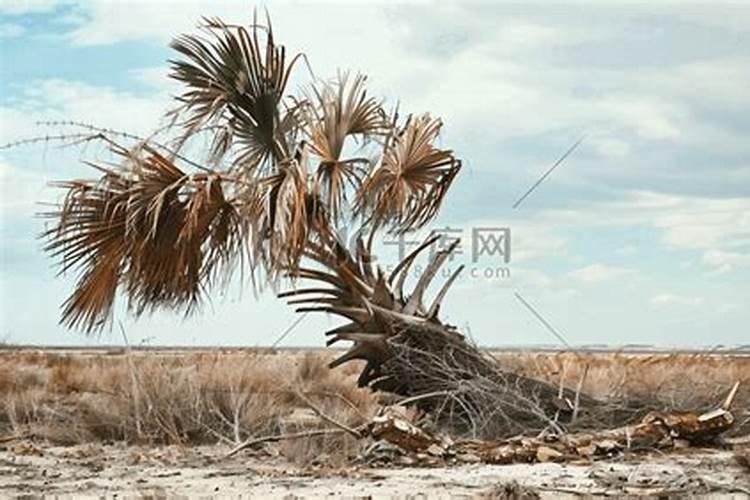 怎样区分氮肥和磷肥和钾肥