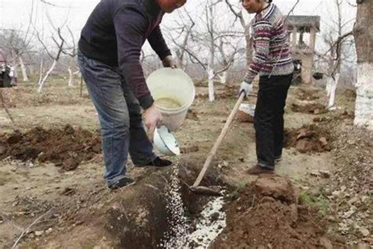 特种肥料和其它肥料有什么区别？