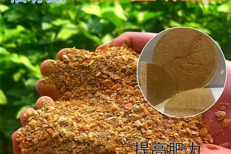 探讨下豆粕有机肥存在哪些优点和不足