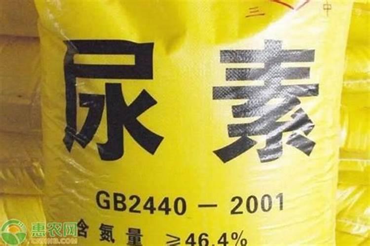 赤楠的养殖方法和注意事项