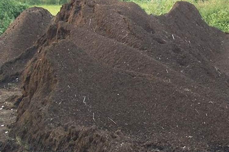 多肉施肥技巧,泥炭养不用肥,颗粒养用缓释肥,搞清楚再追肥,一起来看看...