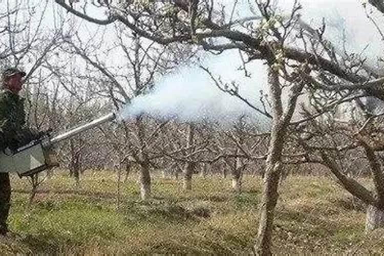 清满园可以和叶面肥混合用吗