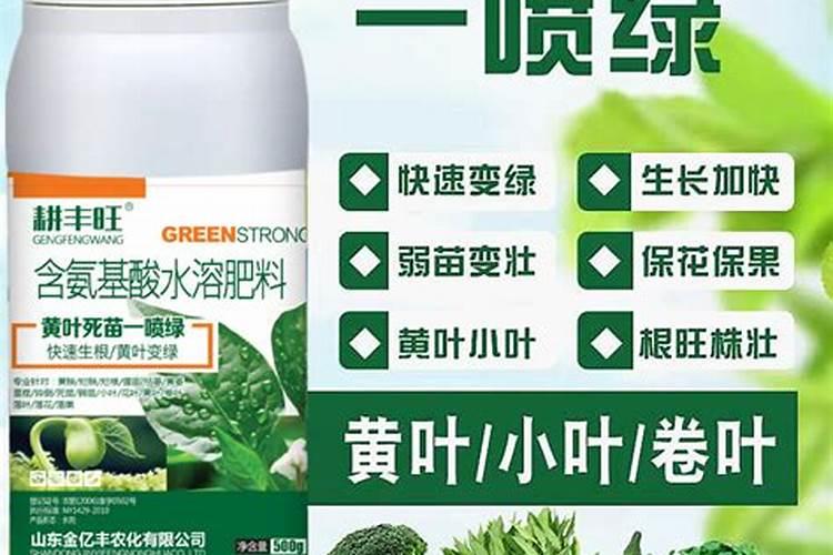 花菜防冻用什么方法 花菜防冻用什么方法最合适