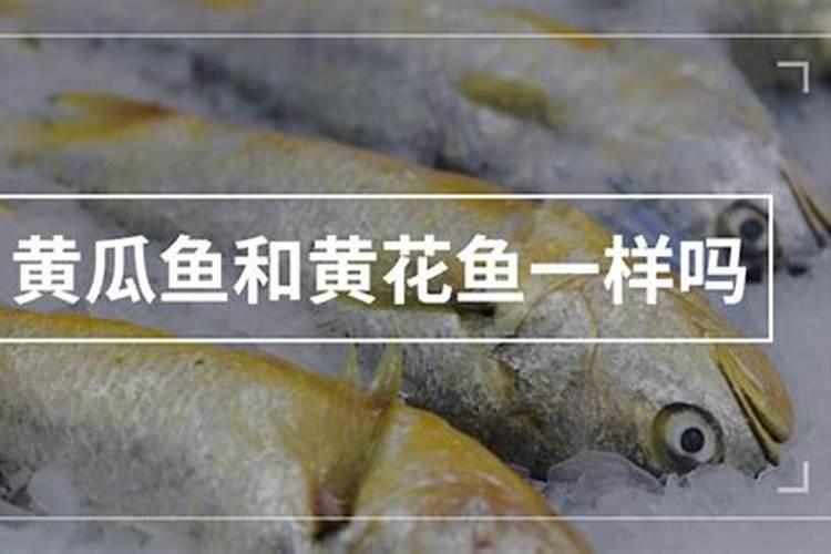 使用鱼蛋白肥会有什么效果？