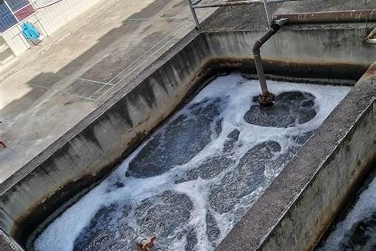 降氨氮最快方法