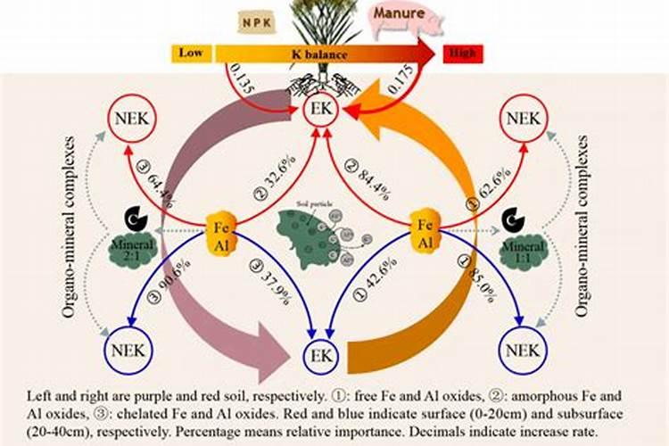氧化钾可以作玉米冲施肥吗？
