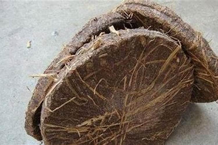 可以用油茶饼发酵做花肥吗？据说有毒不能养花？