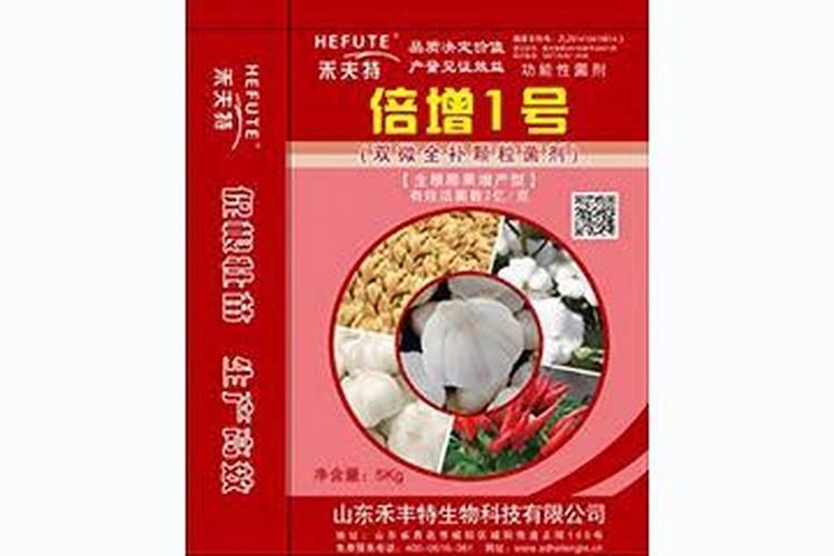 只需10万投资好项目有哪些