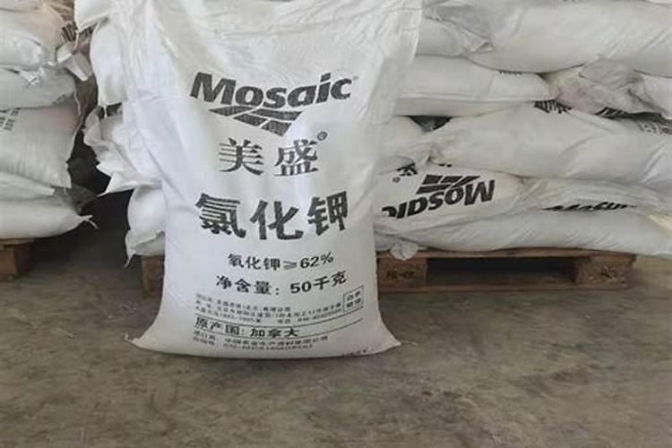 家庭养花常用肥料有哪些 养花需要什么肥料