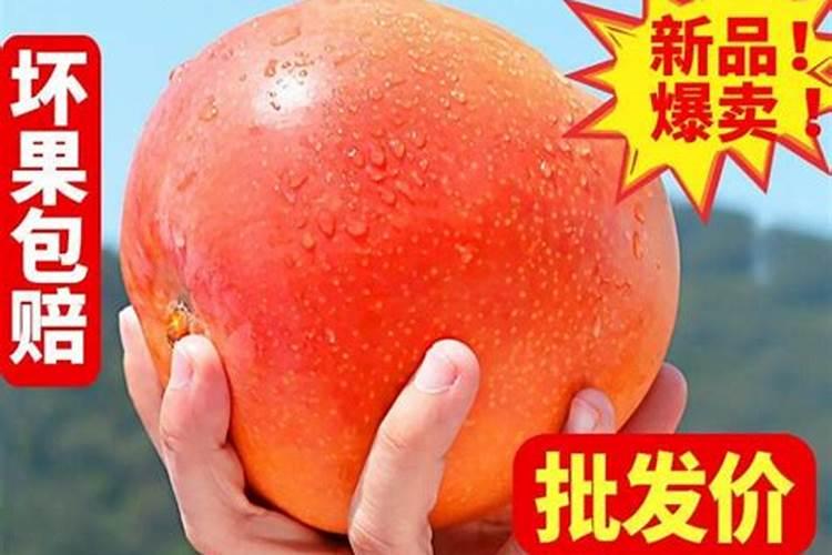 种芒果施什么肥