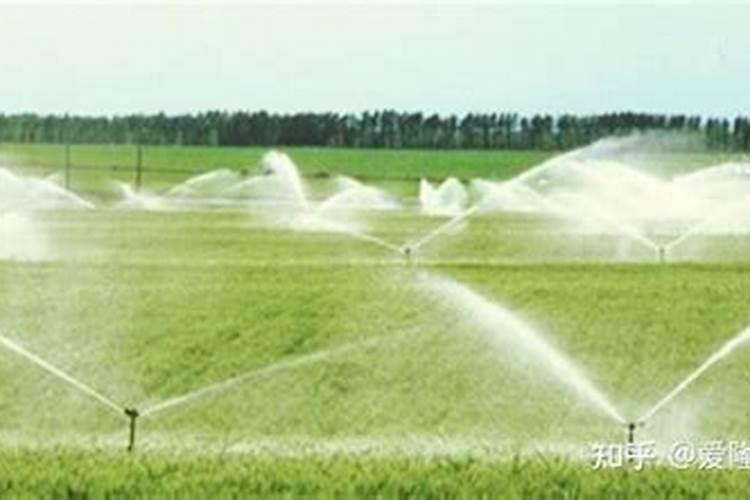 磷酸二氢钾叶面肥什么时候用