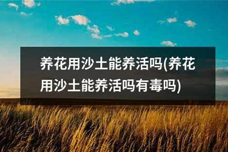 辽宁福维生物科技有限公司年产3万吨生物刺激剂项目