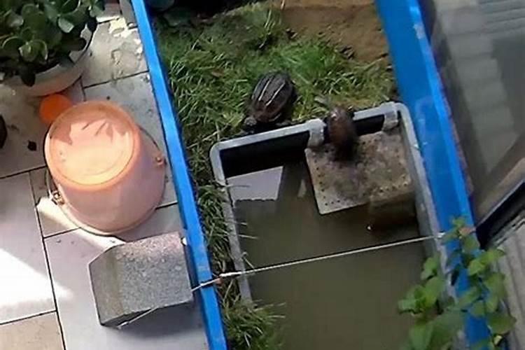 用“粪水”种的蔬菜不能吃？