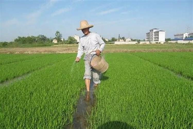 钙肥和硼肥能与氮磷钾肥混用吗,春季做底肥可以吗？