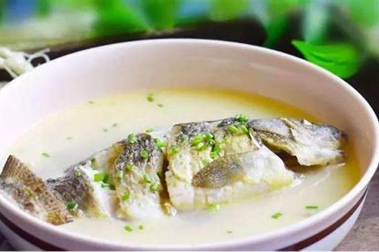 鱼蛋白自制配方比例