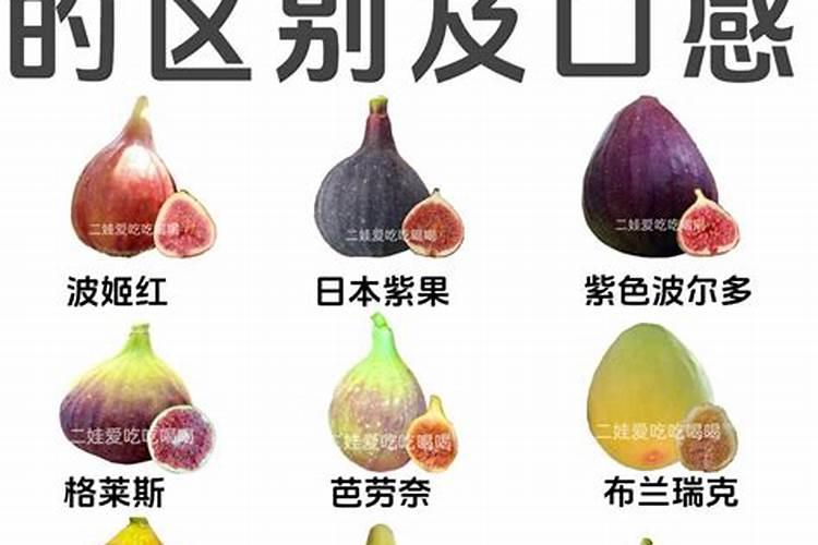 无花果施肥用什么肥料