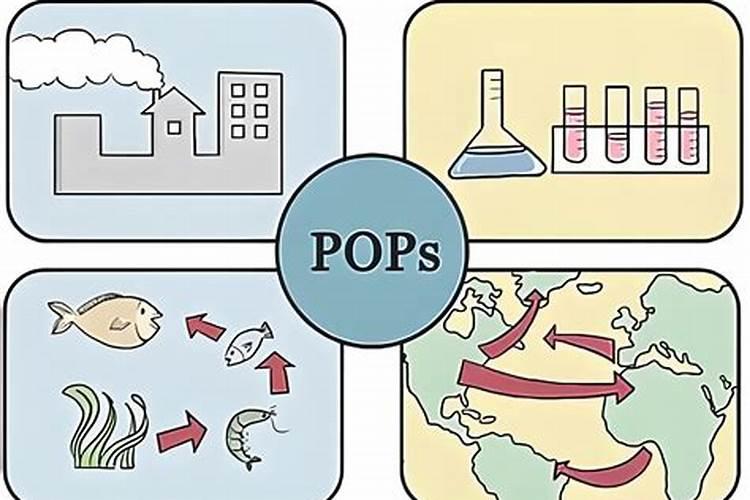 钾肥过量有什么危害科学施肥
