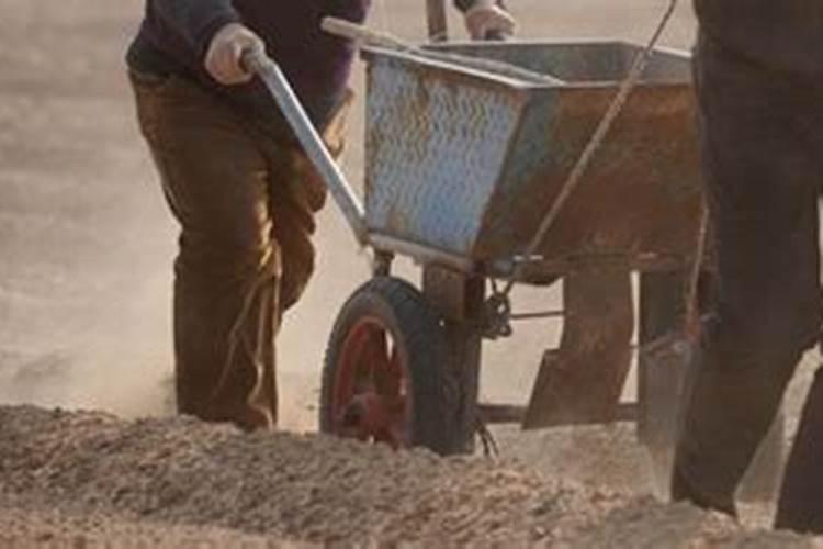 复合肥撒下不下雨会不会失效