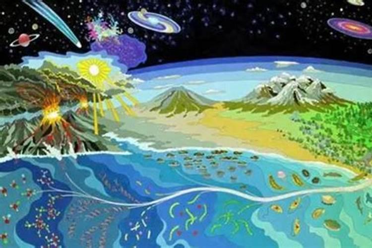 黄瓜冲施什么牌子水溶肥好(黄瓜用什么水溶肥产量高)