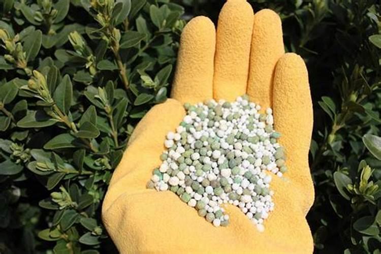 玉米苗后除草可以放液体氮肥一起喷施吗？