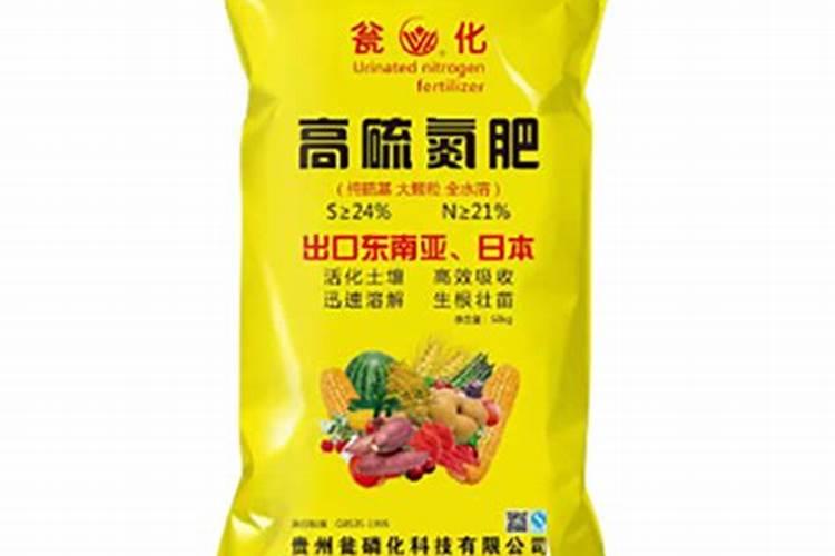 寿光有特产吗