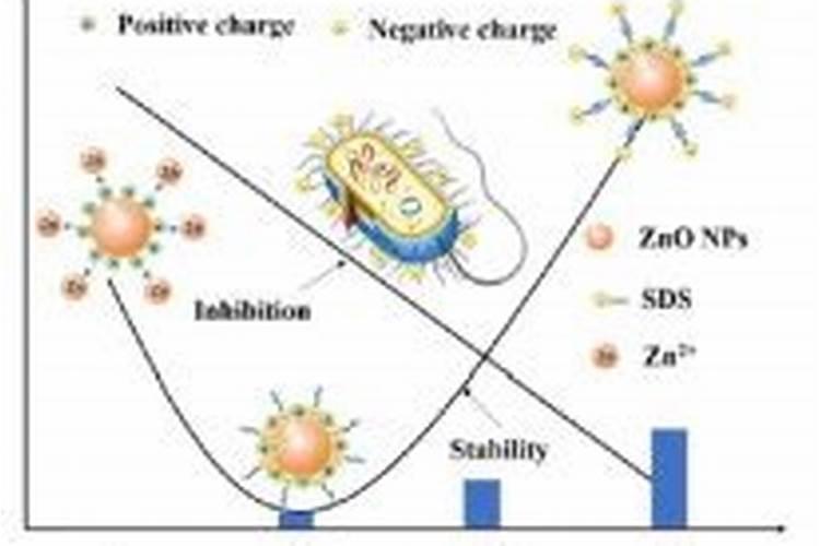 锌肥对玉米的影响及用量