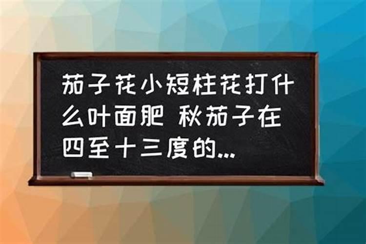 氮肥一般常用是什么肥料