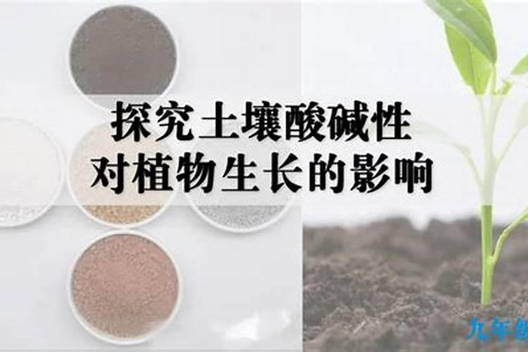 用什么改良碱性土壤