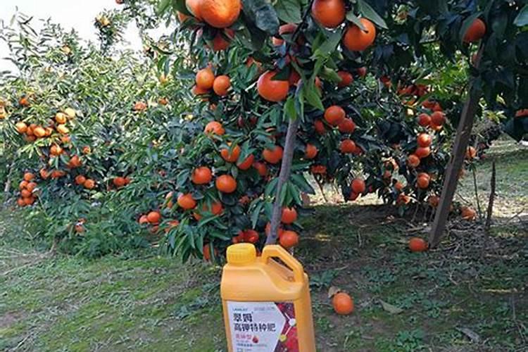 冲施肥与水溶肥的区别