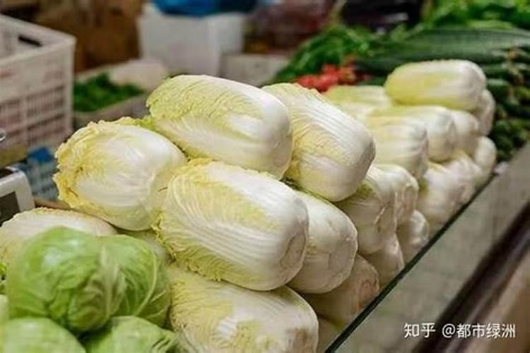 大白菜的营养含量比例？