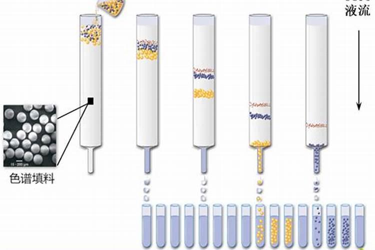 求高中生物记忆口诀