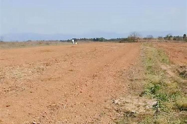 小区外面的荒地是否具备种菜的条件呢