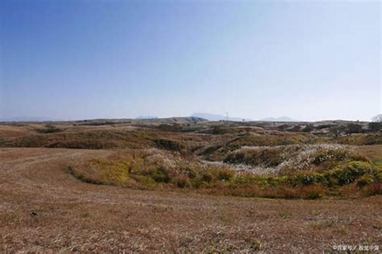 小区外的那片荒地有没有种菜的可能性