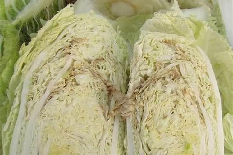 用氨基酸钙肥能减少白菜干烧心吗？