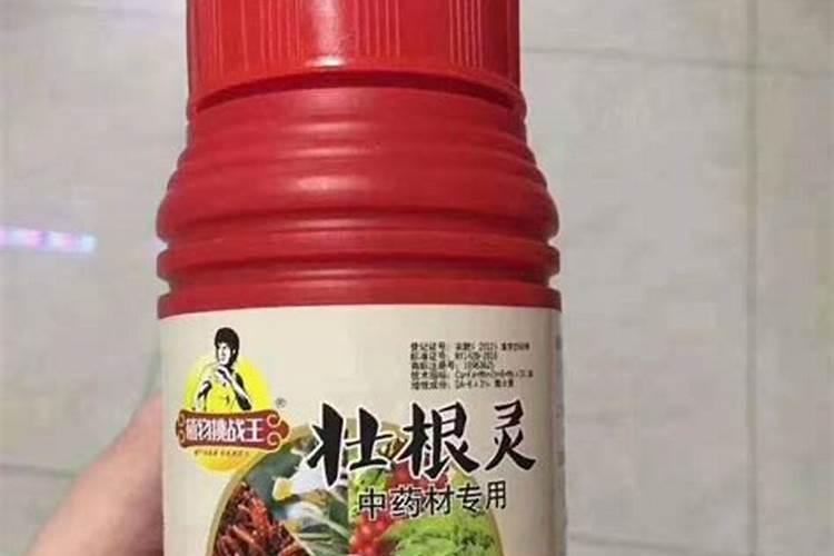 如何防治芹菜叶柄开裂 这么防治芹菜叶柄开裂