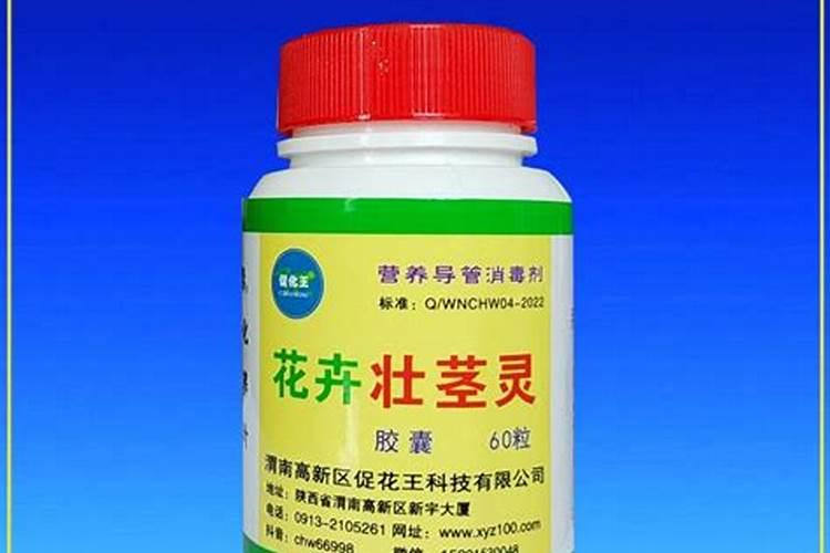 万年青用什么肥料好