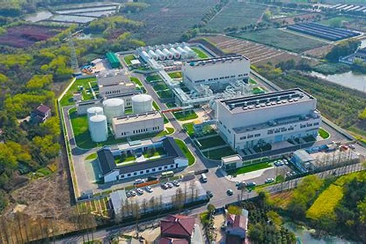 我国生产盐的上市公司有哪几家？