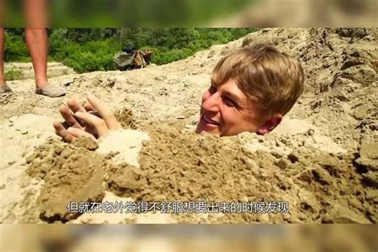 草可以直接埋土里做肥料吗怎么快速让杂草变肥料